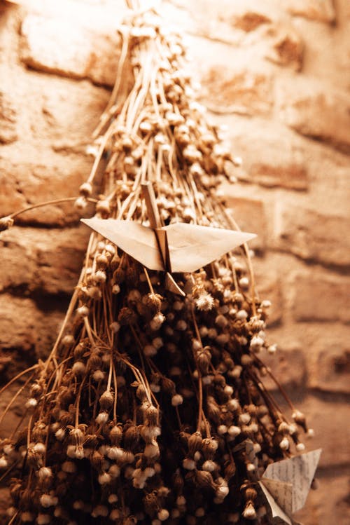 五年級話題作文讀書趣