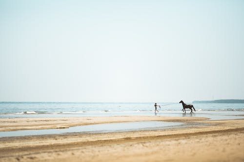 結(jié)婚的祝福語句 結(jié)婚的祝福語句