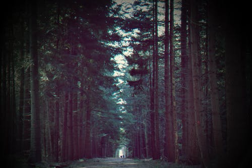 精騎集文言文翻譯 精騎集文言文翻譯