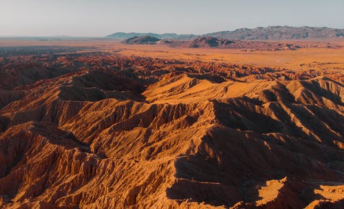 《廢都》的讀后感大全