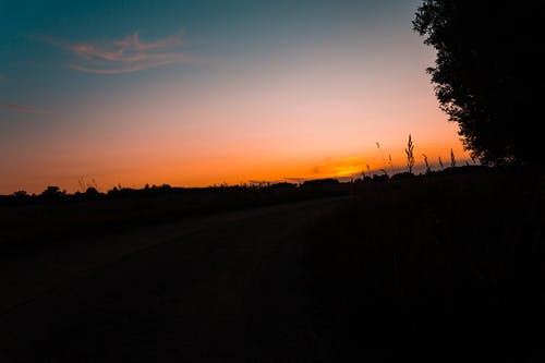 表達(dá)夏至快樂的祝福語大合集45條