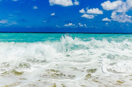 五年級(jí)想象作文烤豆