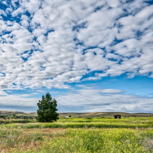 友誼如花，清香漫灑