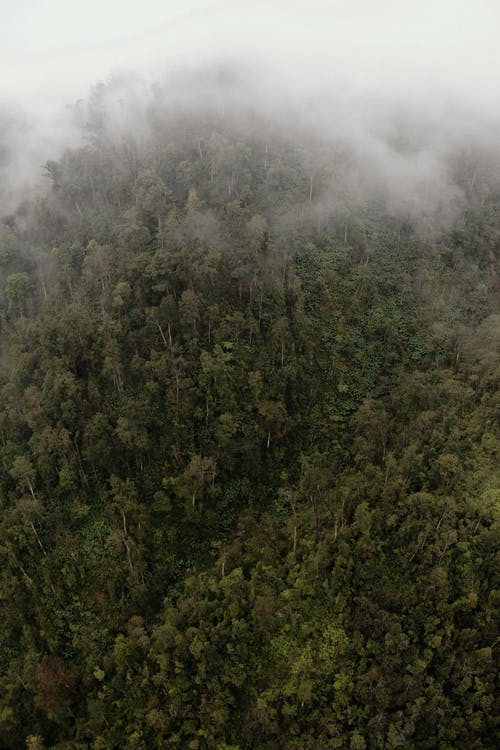 關(guān)于人生感悟隨筆作文四篇