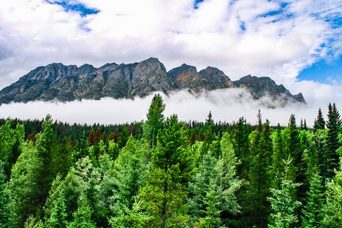 關(guān)于改寫古詩作文300字匯編六篇 關(guān)于改寫古詩作文300字匯編六篇