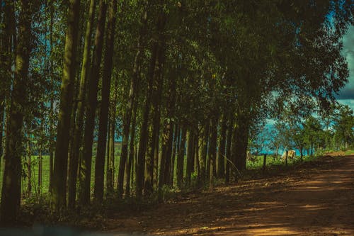 瑯琊榜經(jīng)典臺(tái)詞大全