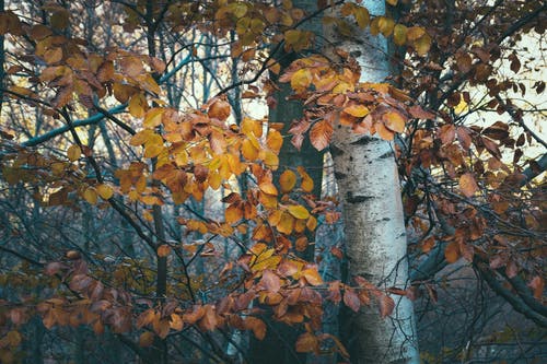 老爸回家經(jīng)典臺(tái)詞語(yǔ)錄