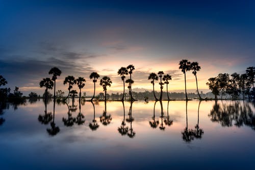 關(guān)于古詩(shī)收獲作文合集八篇