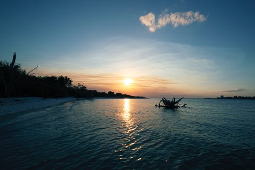 全能女戰(zhàn)神又颯又美小說爽文云裳薄司絕章節(jié)閱讀