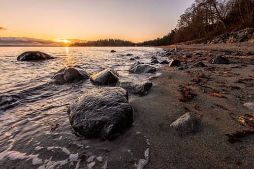 詩歌頌秋葉作文 詩歌頌秋葉作文