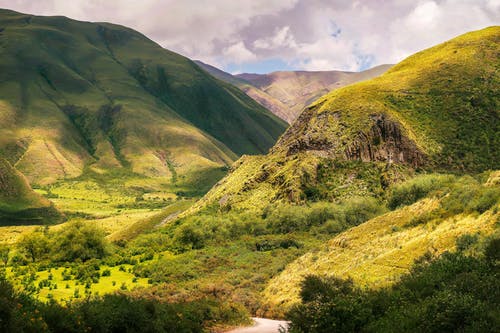 描寫田園風(fēng)光的詩詞