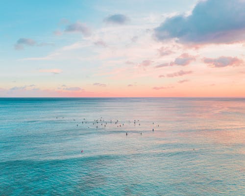 品味詩歌，真有趣