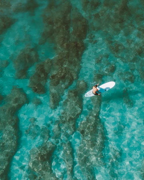 爽文超凡醫(yī)婿小說秦銘林婉清在線閱讀