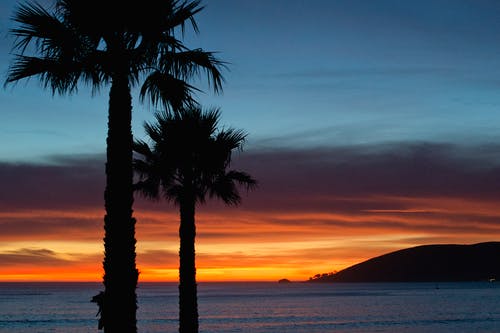 爽文道法圖小說(shuō)葉辰沈秋全文閱讀