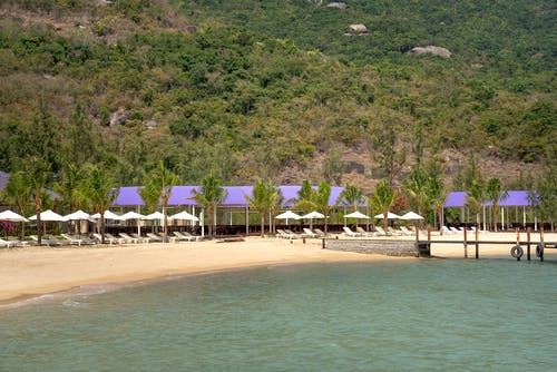 紅五月的詩歌朗誦稿3篇