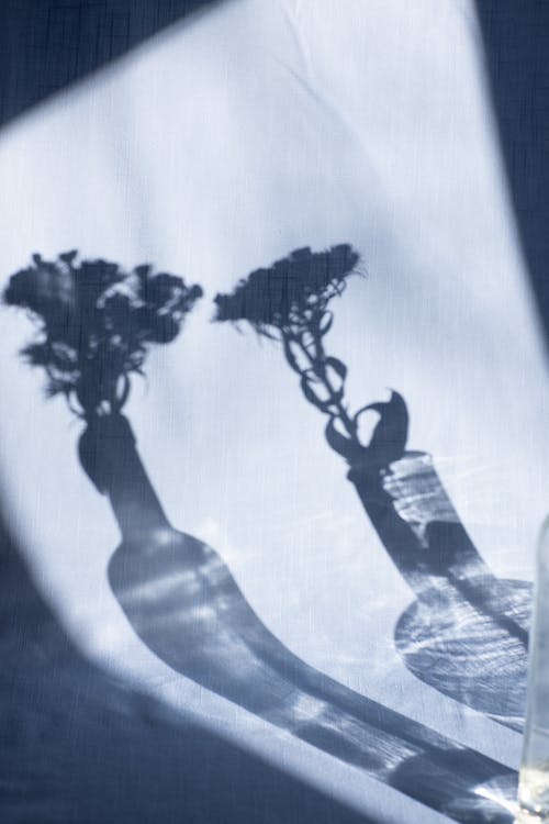 關(guān)于古詩(shī)作文四篇