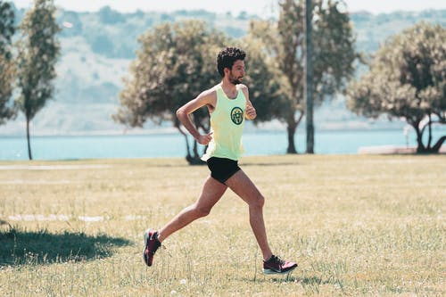 命運讓我們相遇豪門小說陸少霆白茵茵全篇閱讀