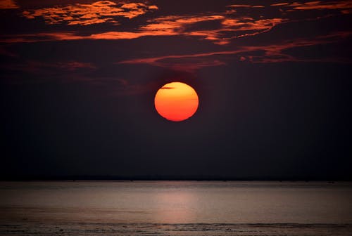 五年級(jí)敘事作文第一次當(dāng)“老貓”