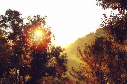 祝感恩節(jié)快樂的QQ祝福語匯總50條