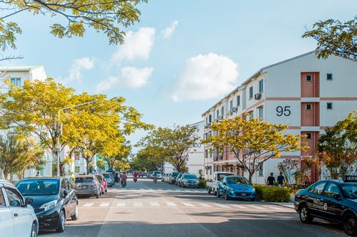 定三界人氣小說主角白靈無錯版閱讀