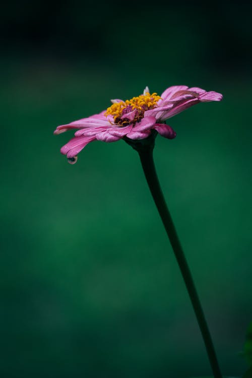 2020年給朋友的復(fù)活節(jié)祝福語大匯總27條