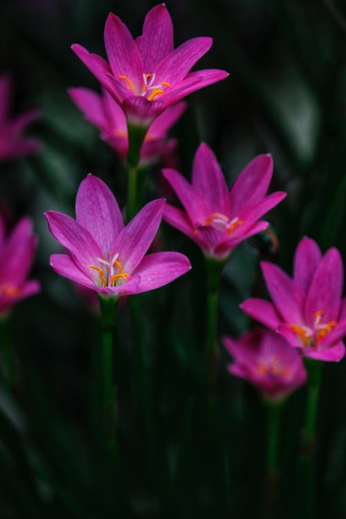 現(xiàn)言吃軟飯真香小說王皓塵陶?qǐng)A在線閱讀