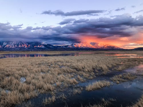 長(zhǎng)輩生日祝福語(yǔ)最新