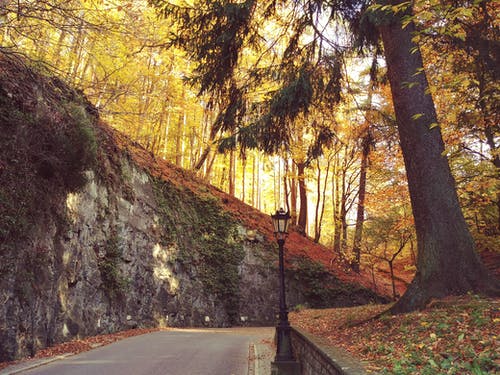 《冬夜讀書示子聿》譯文、注釋及鑒賞