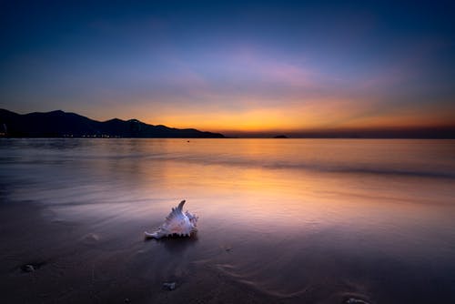 生命的價(jià)值取決于我們自身勵(lì)志