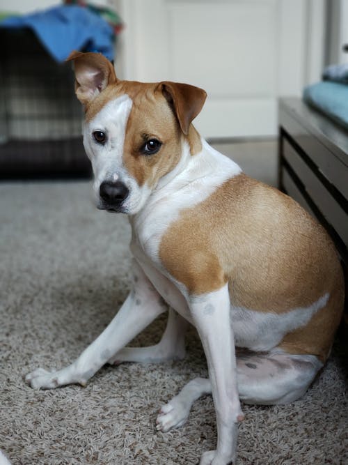 大學(xué)勵(lì)志畢業(yè)留言