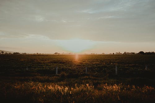 竹石原文翻譯及賞析 竹石原文翻譯及賞析