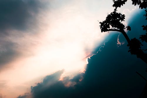 初中的寒假日記450字