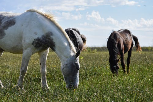 教師節(jié)快樂的微信祝福語集合47條