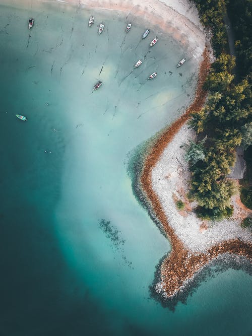 五年級散文一縷秋天的光