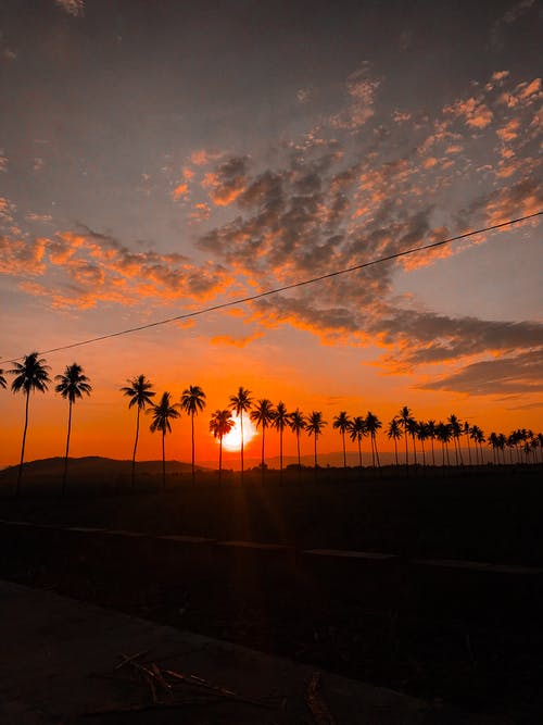 關(guān)于高中周記青春勵志集合九篇