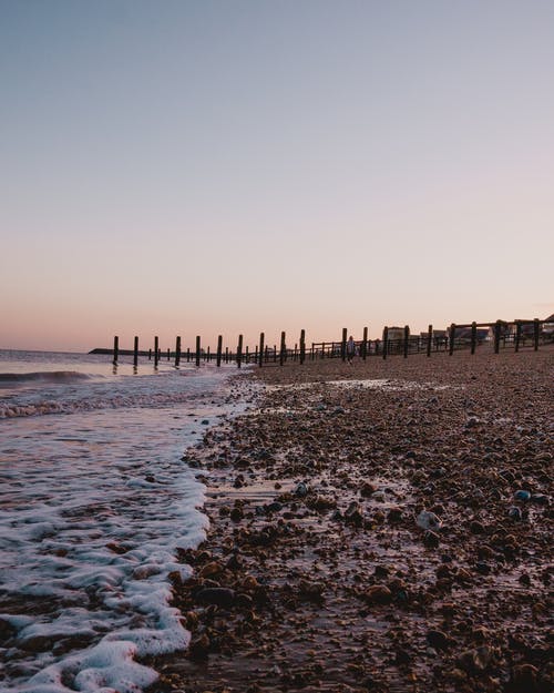 寫作基礎(chǔ)肖像描寫如何“傳神”