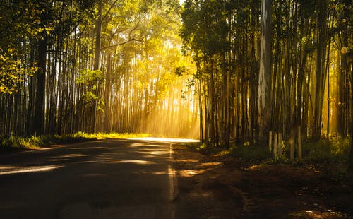 愛似水中月小說顧珈于錫東莫北無錯版閱讀