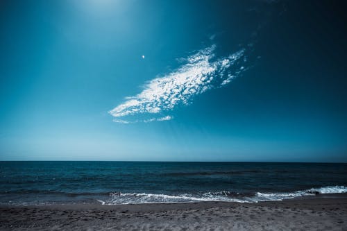 《琴歌》譯文賞析詩詞 《琴歌》譯文賞析詩詞