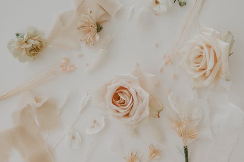 超級(jí)至尊狂爸小說(shuō)陳立謝君婉免廣告閱讀