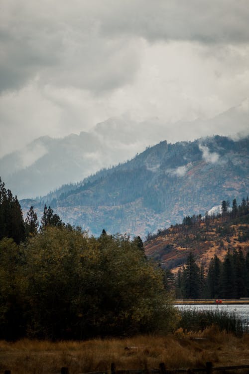 2020年春節(jié)快樂的祝福語大合集56句