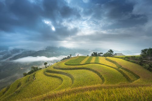 強(qiáng)推重生之仙帝狂婿小說林風(fēng)葉雨煙無彈窗閱讀