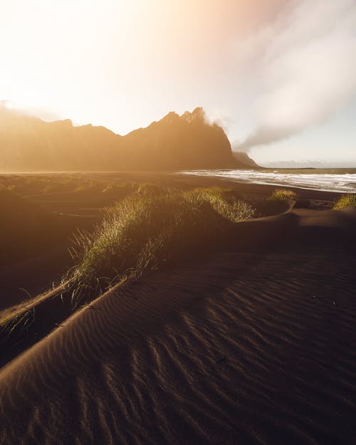 你若懂得，歲月自會靜好美文