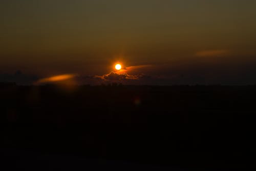 有關(guān)后悔的隨筆作文