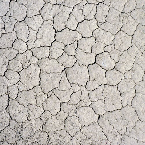 影片《老友記》各人物經(jīng)典臺(tái)詞摘抄 影片《老友記》各人物經(jīng)典臺(tái)詞摘抄