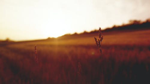 朝天子詠喇叭的全詩 朝天子詠喇叭的全詩