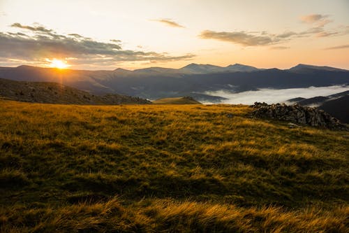 五年級想象作文多功能智慧機(jī)器人- 五年級想象作文多功能智慧機(jī)器人-
