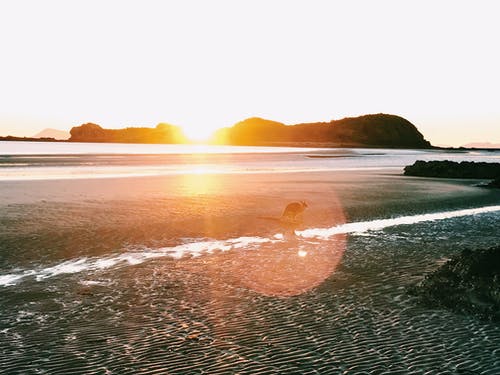 五年級日記發(fā)綠豆芽 五年級日記發(fā)綠豆芽