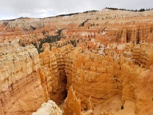 現代詩歌：自然的美，讓我們共同保護