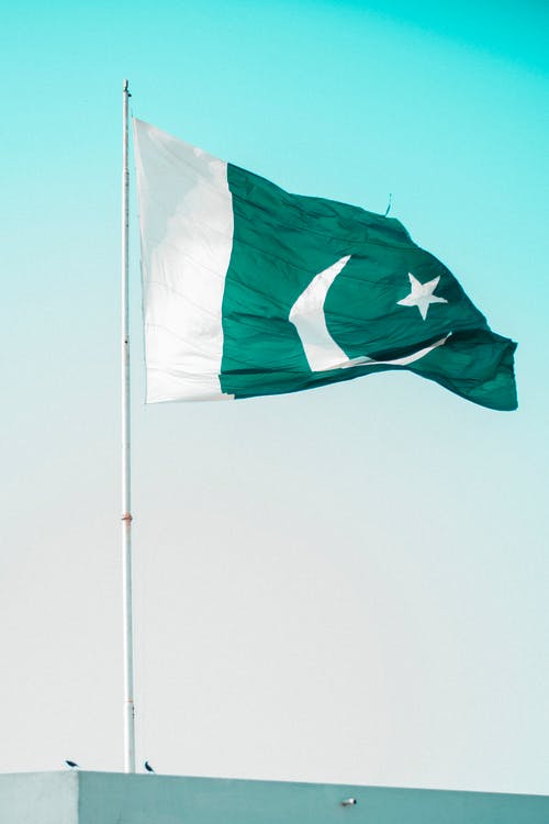 重生之大魚(yú)塘主連載中王皓塵張正義小說(shuō)章節(jié)閱讀