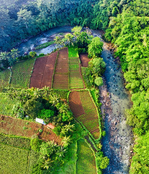 中考倒計時100天勵志大會講話稿